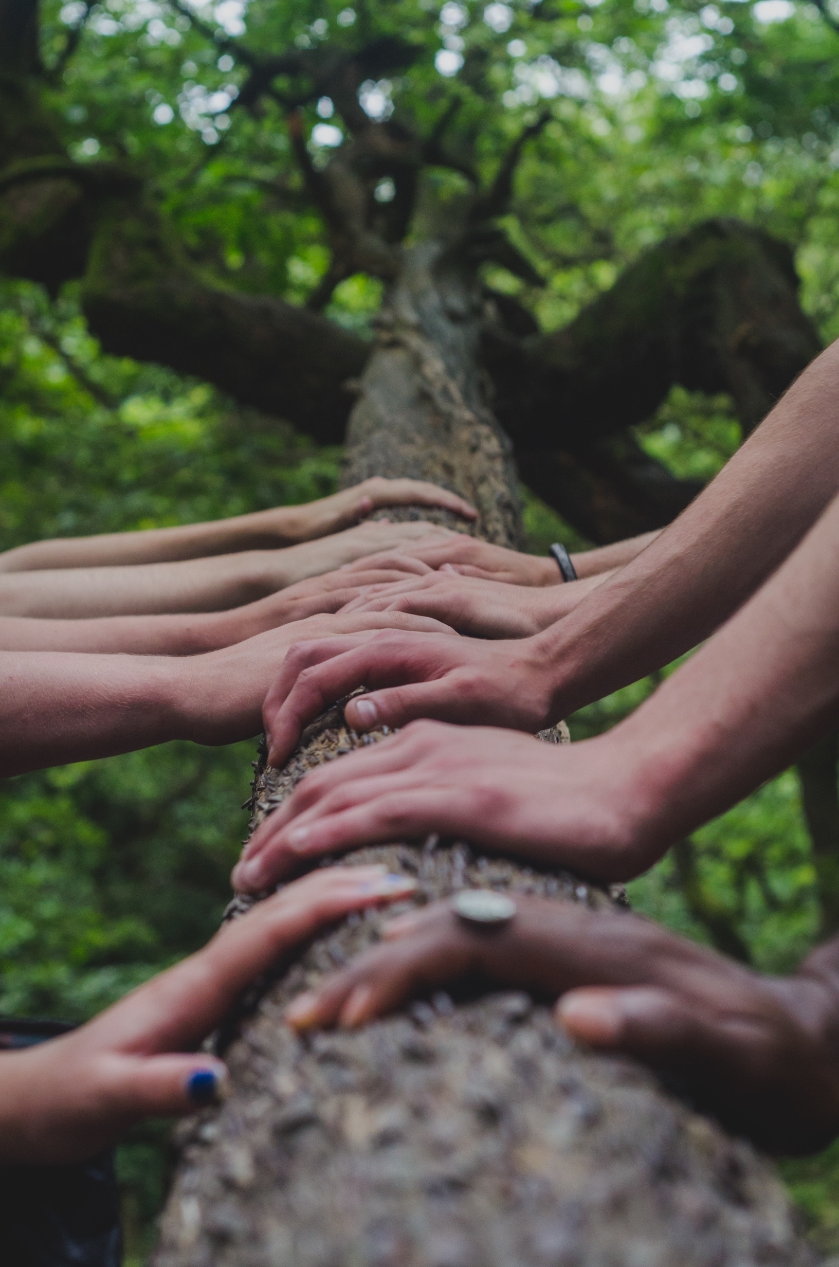 hands-tree